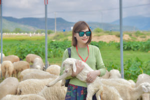 Khám phá thảo nguyên thu nhỏ tại đồng cừu Suối Tiên Ninh Thuận
